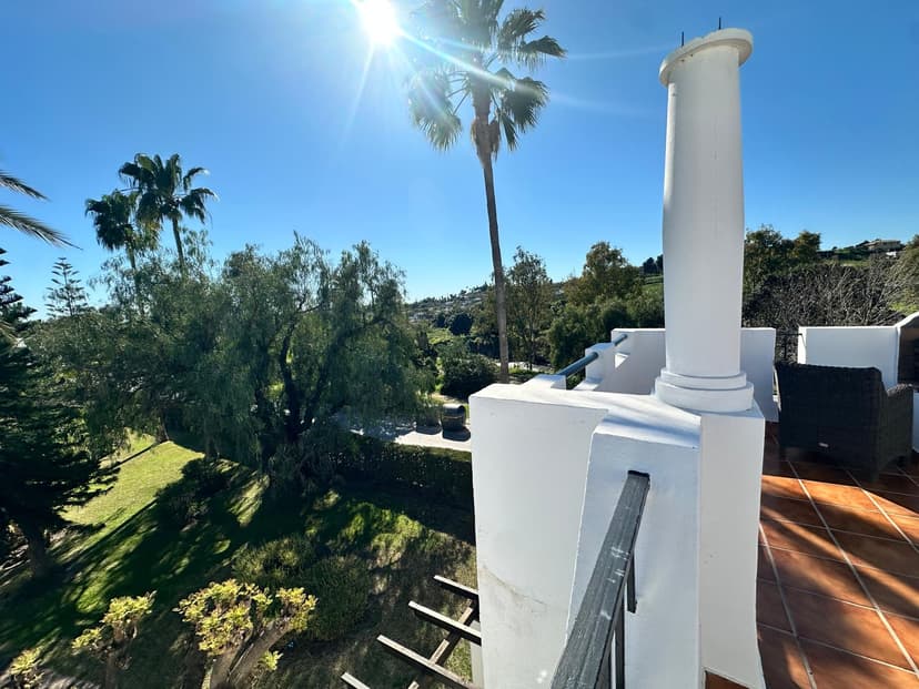 View from the terrace