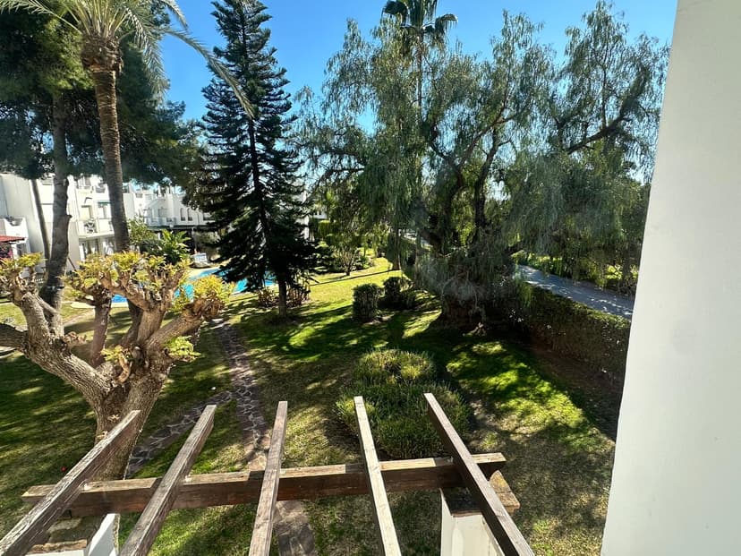 Garden view