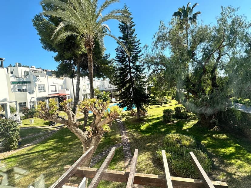 Garden view
