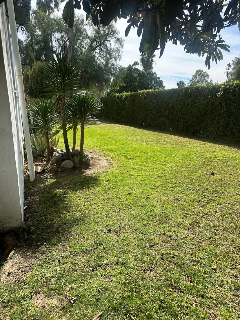 Garden lawn