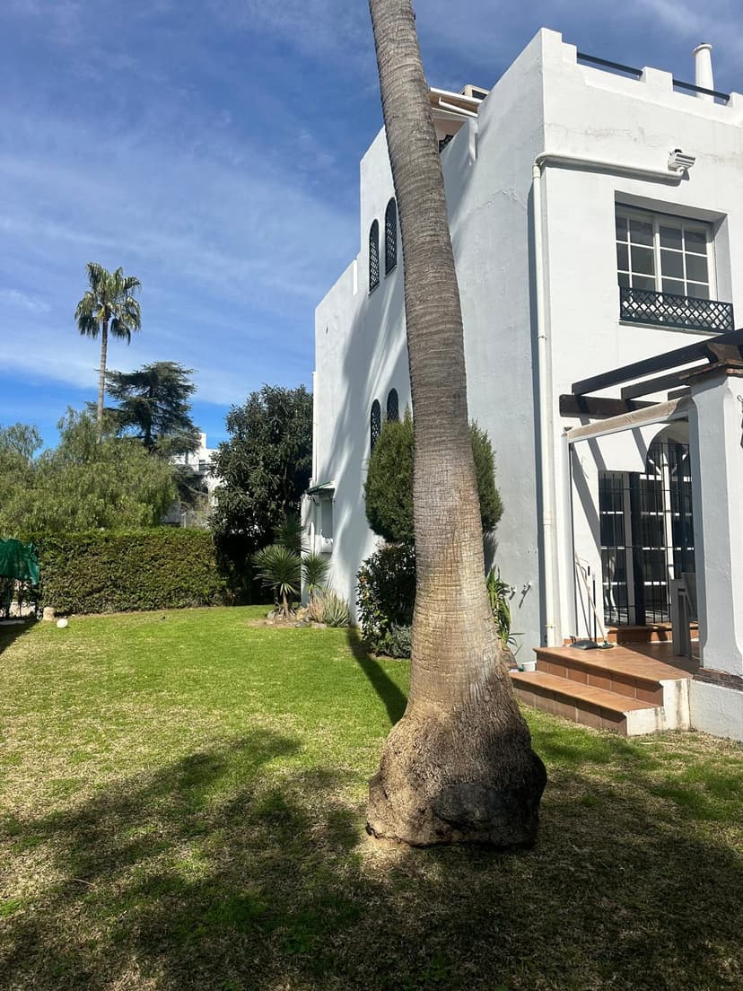 The house